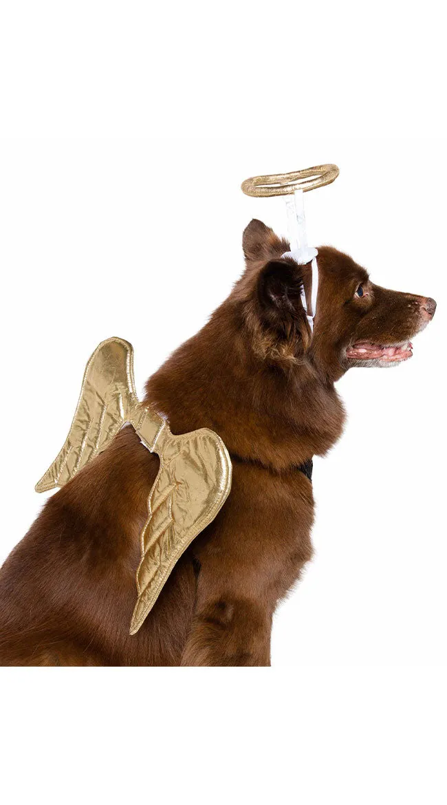 Angelic Pup Pet Costume