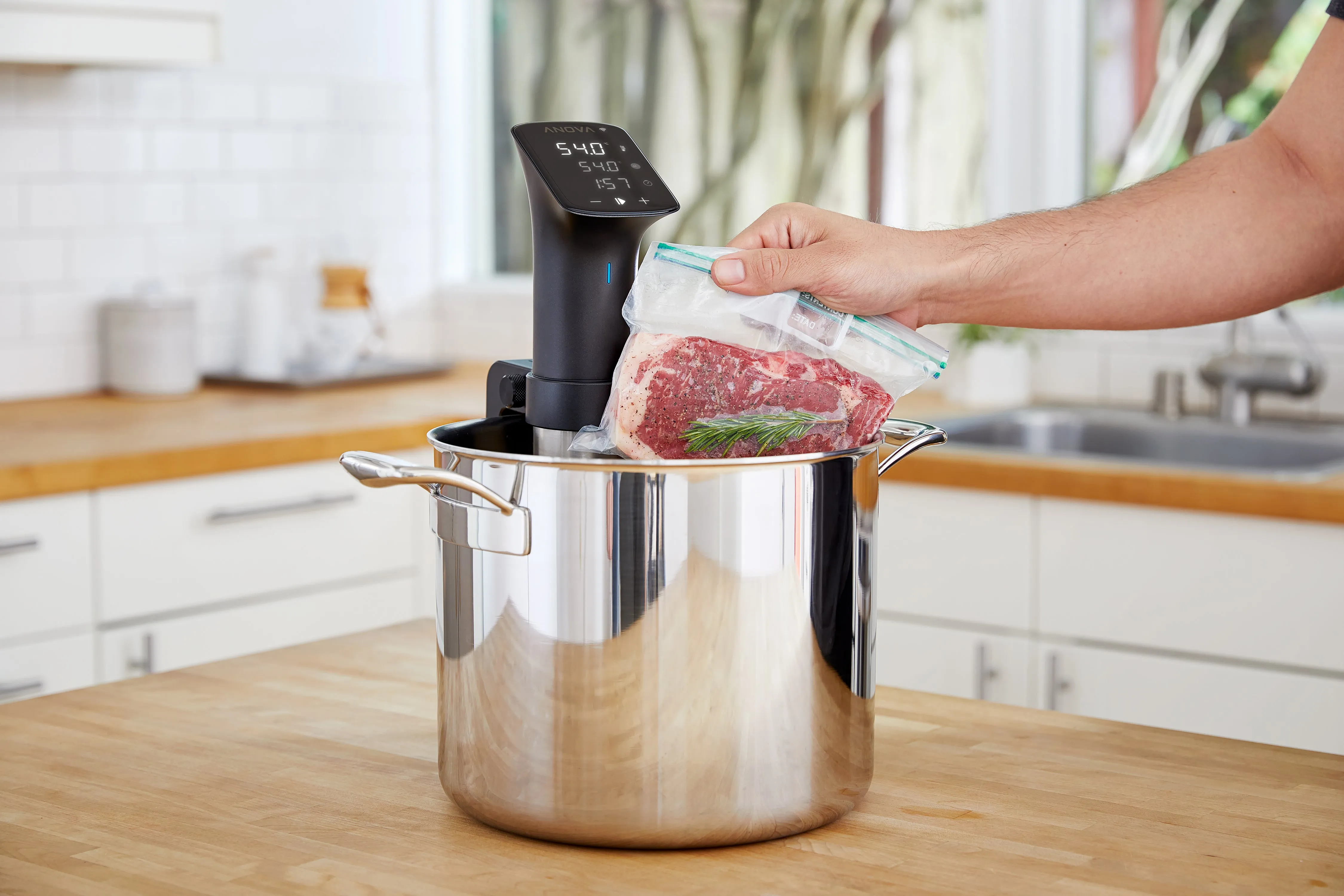 Anova Sous Vide Precision Cooker Pro