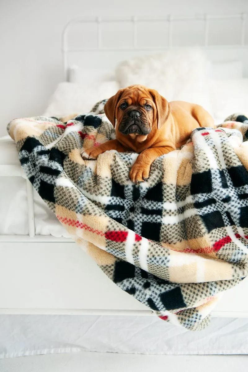 City Plaid Blanket