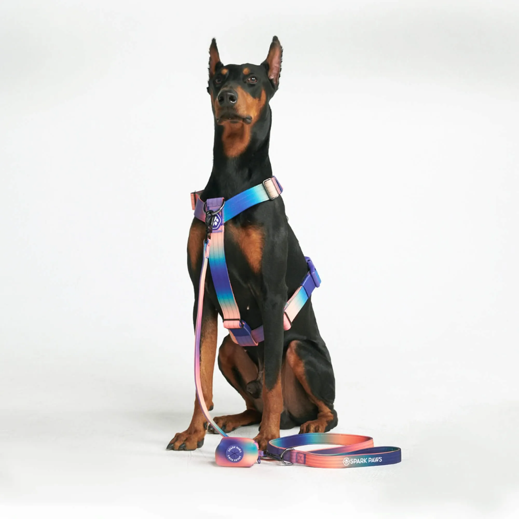 Comfort Control No-Pull Dog Harnesses