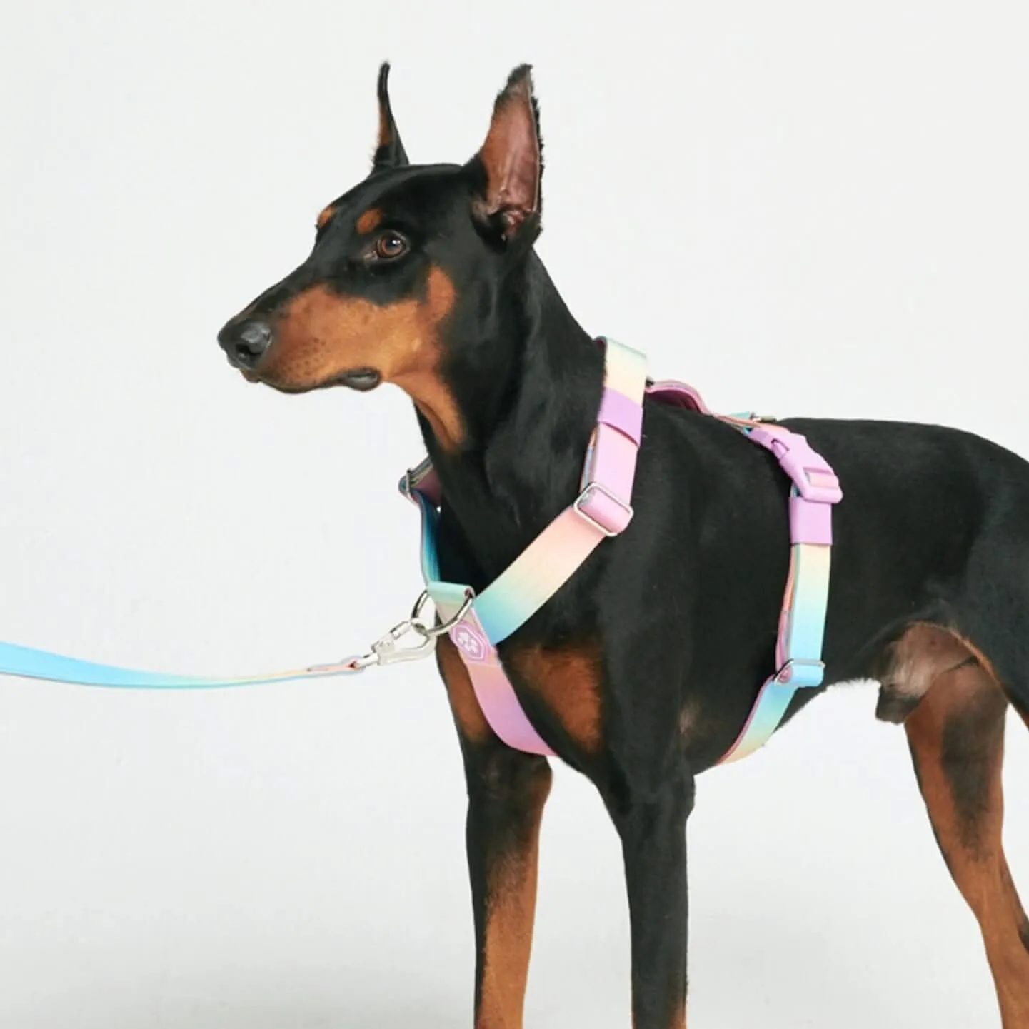 Comfort Control No-Pull Dog Harnesses