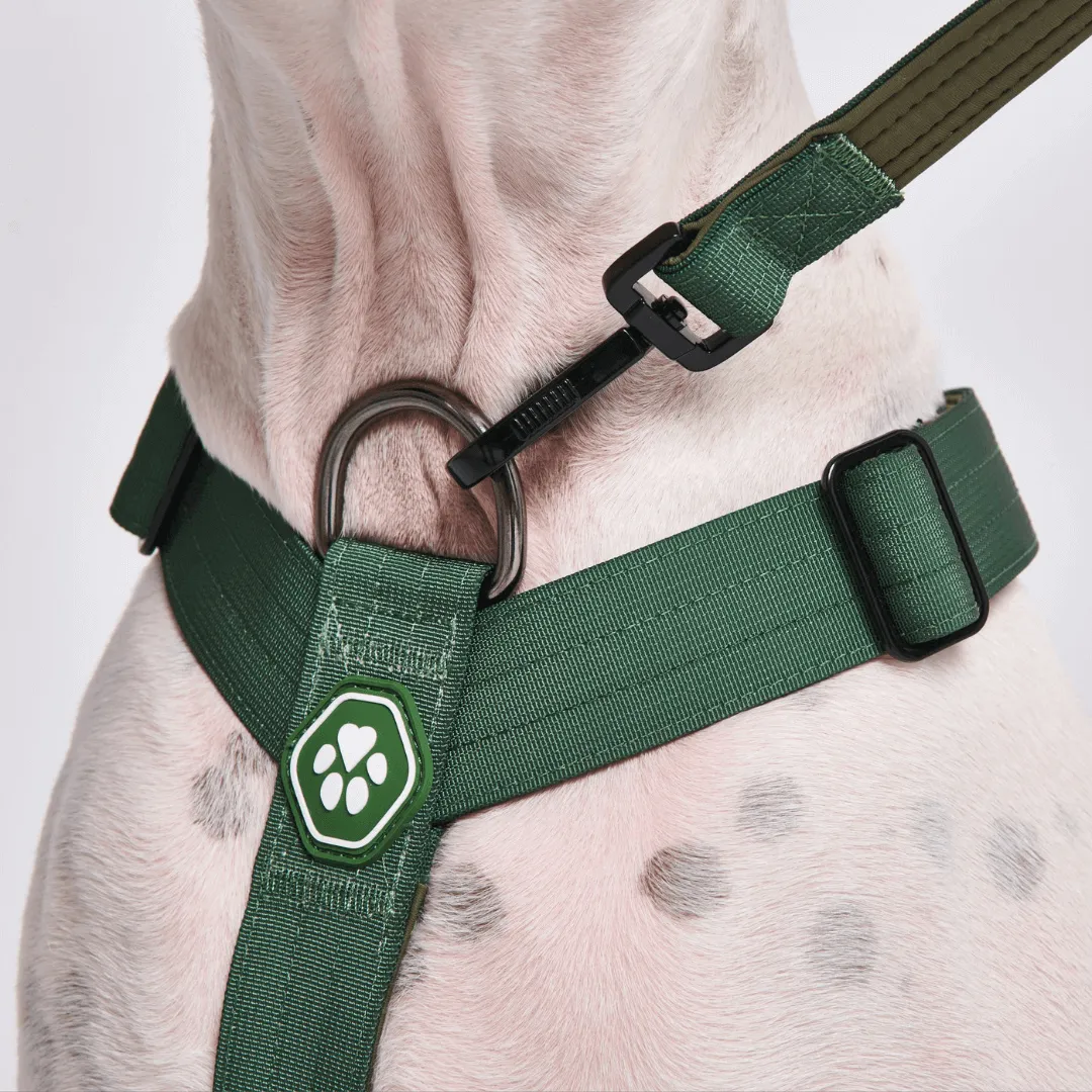 Comfort Control No-Pull Dog Harnesses