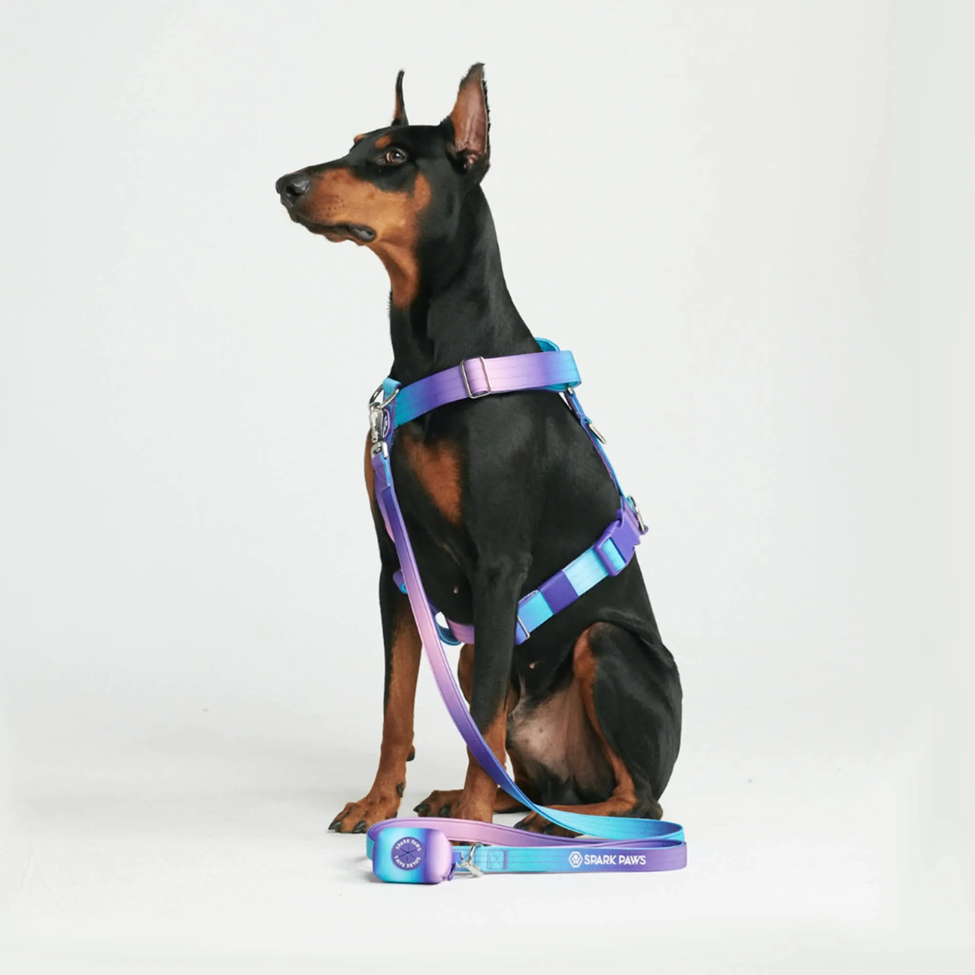 Comfort Control No-Pull Dog Harnesses