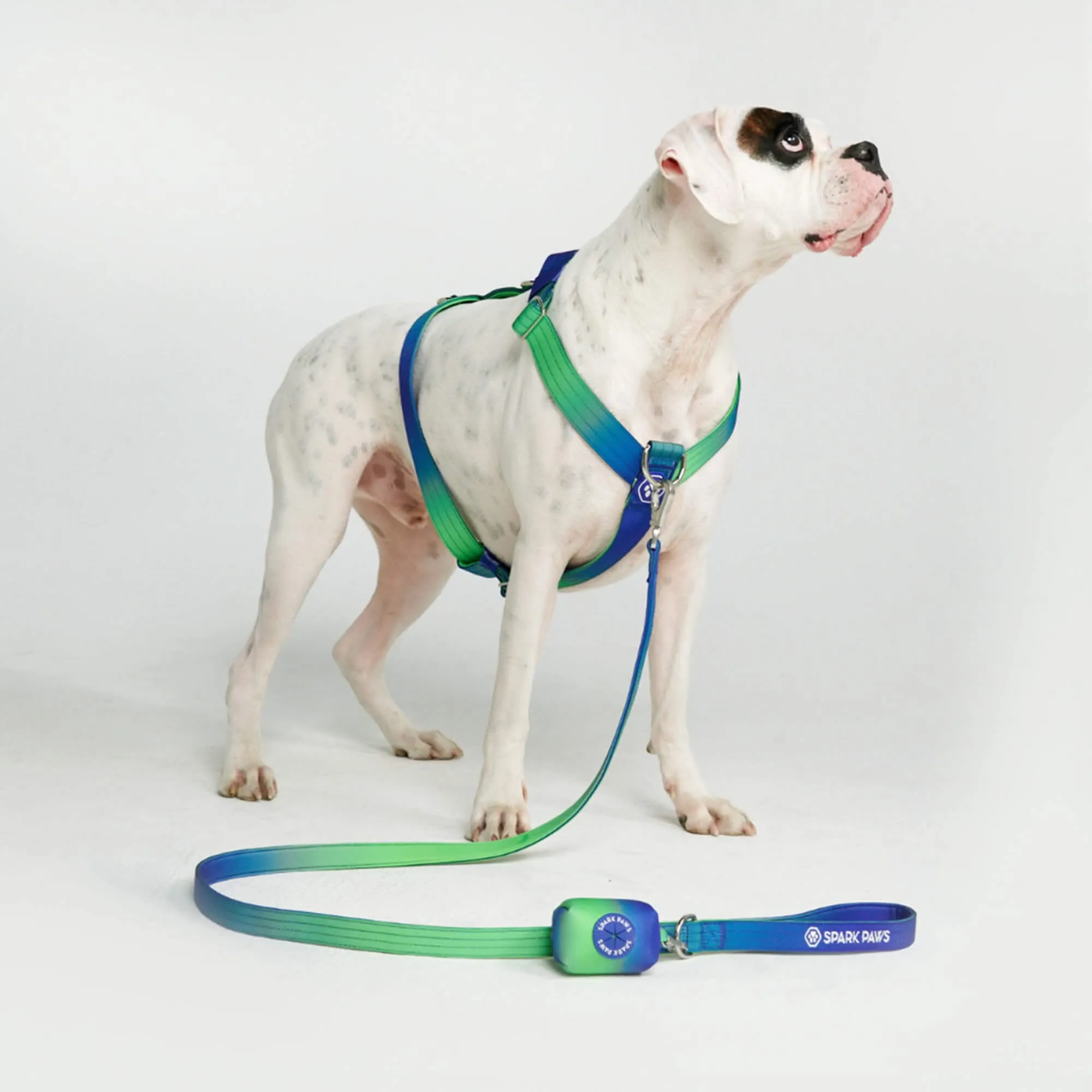 Comfort Control No-Pull Dog Harnesses