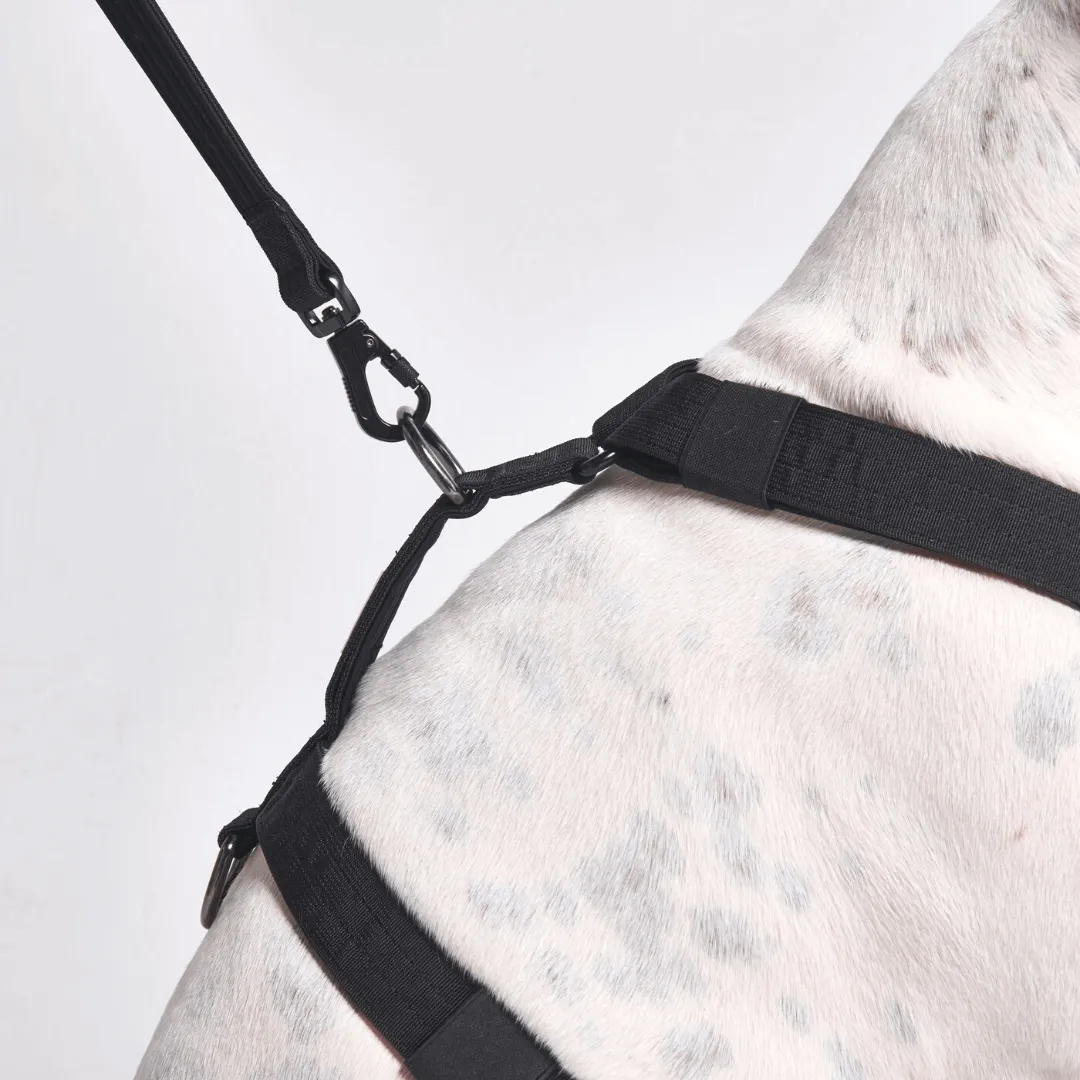 Comfort Control No-Pull Dog Harnesses