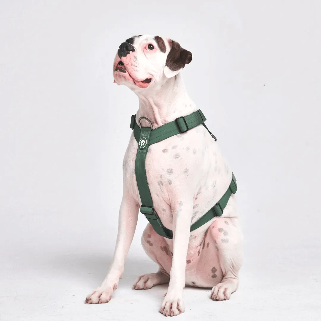 Comfort Control No-Pull Dog Harnesses