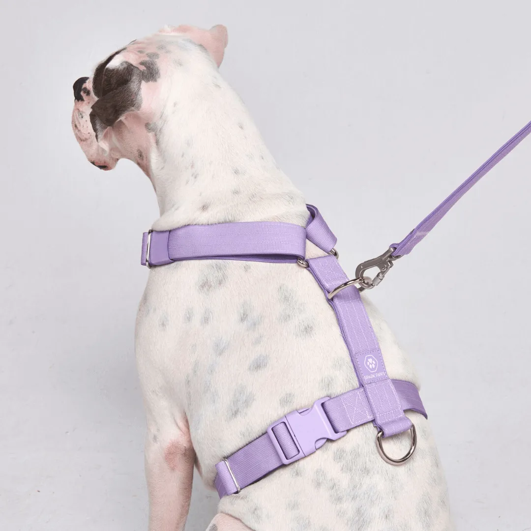 Comfort Control No-Pull Dog Harnesses