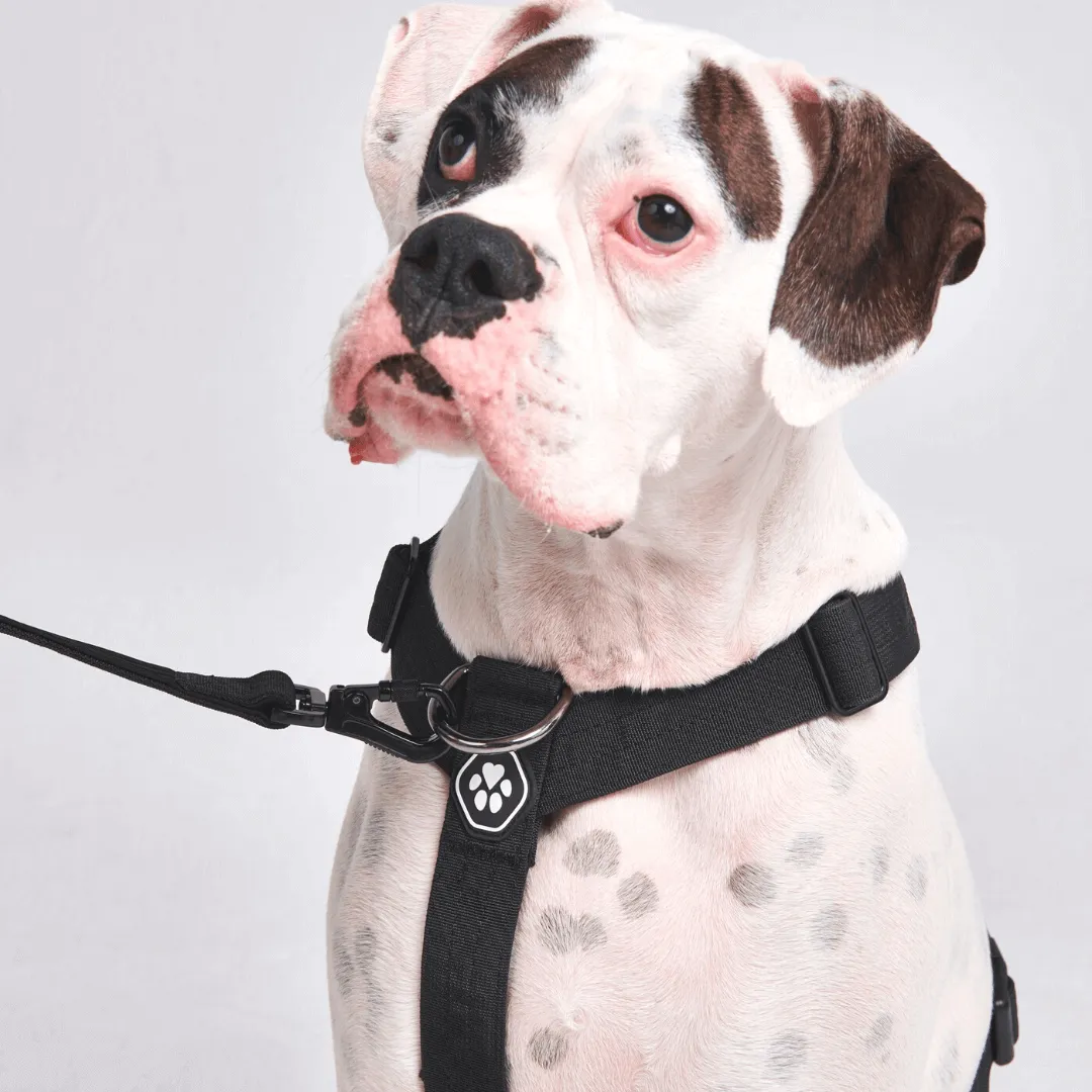 Comfort Control No-Pull Dog Harnesses