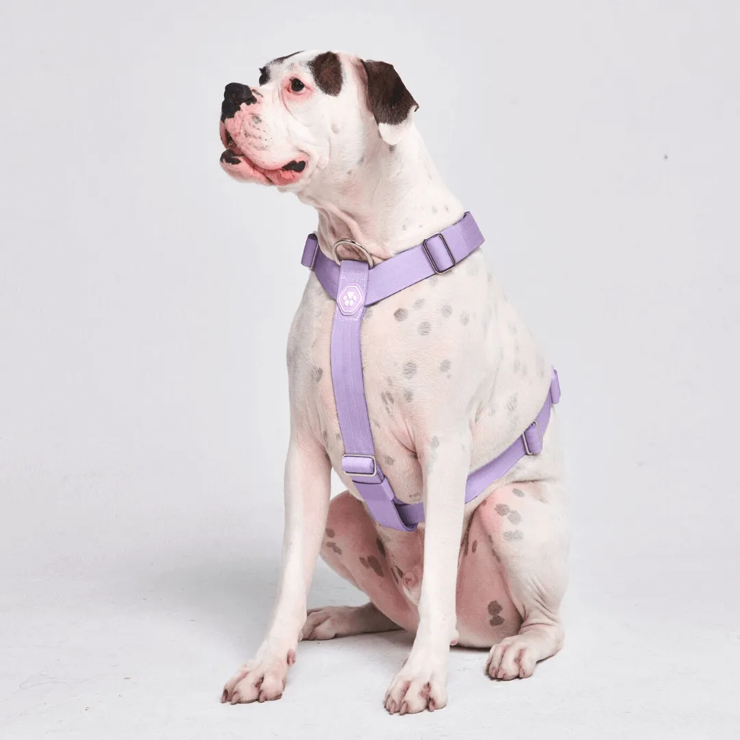 Comfort Control No-Pull Dog Harnesses