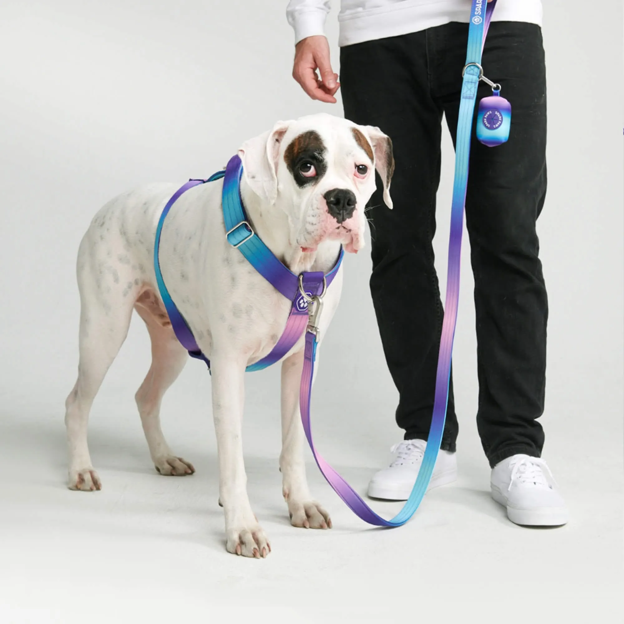 Comfort Control No-Pull Dog Harnesses