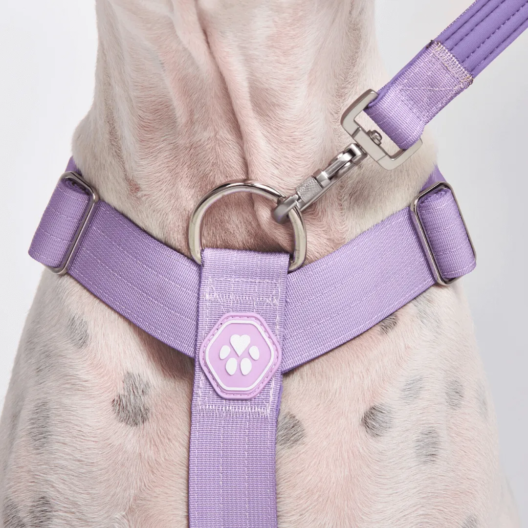 Comfort Control No-Pull Dog Harnesses