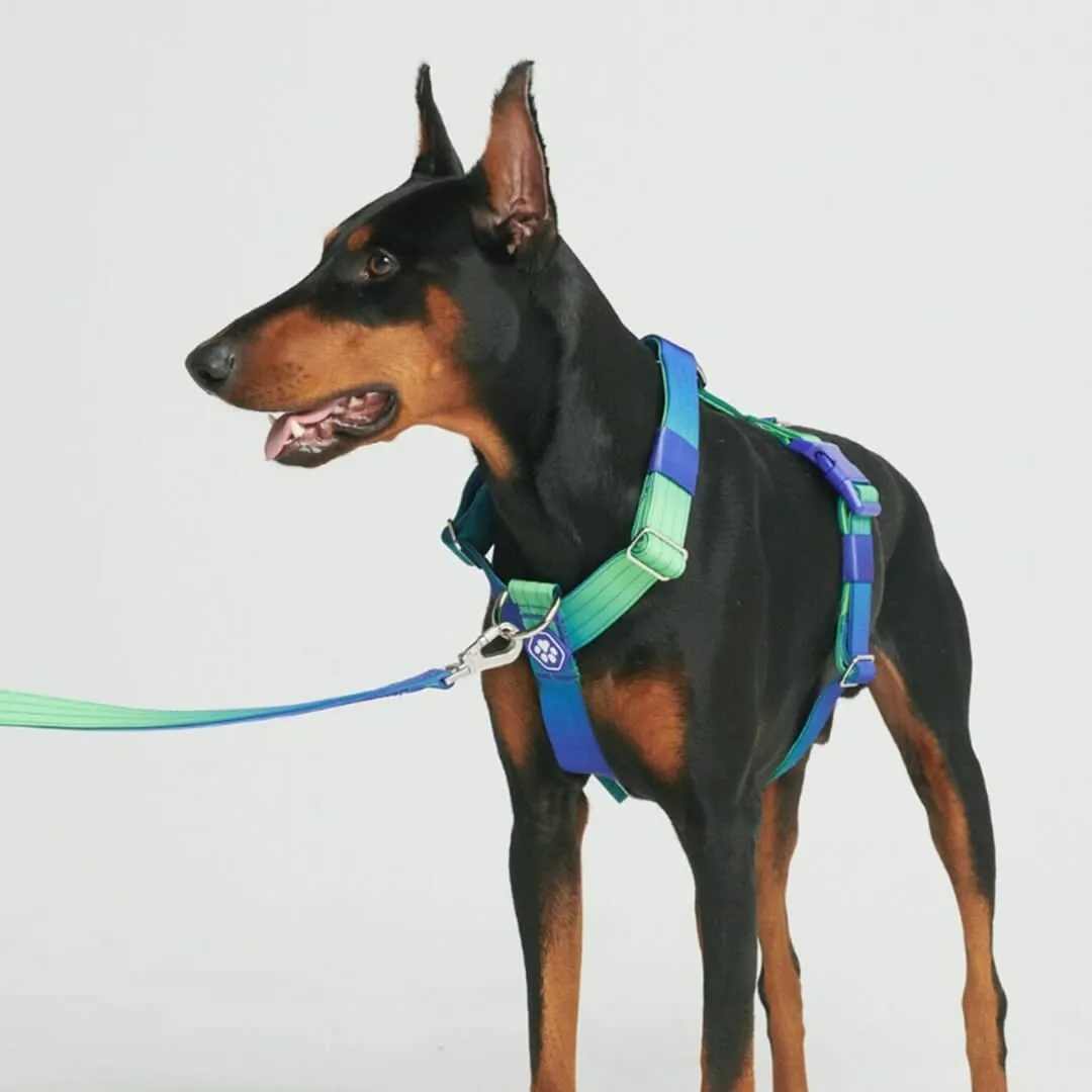 Comfort Control No-Pull Dog Harnesses