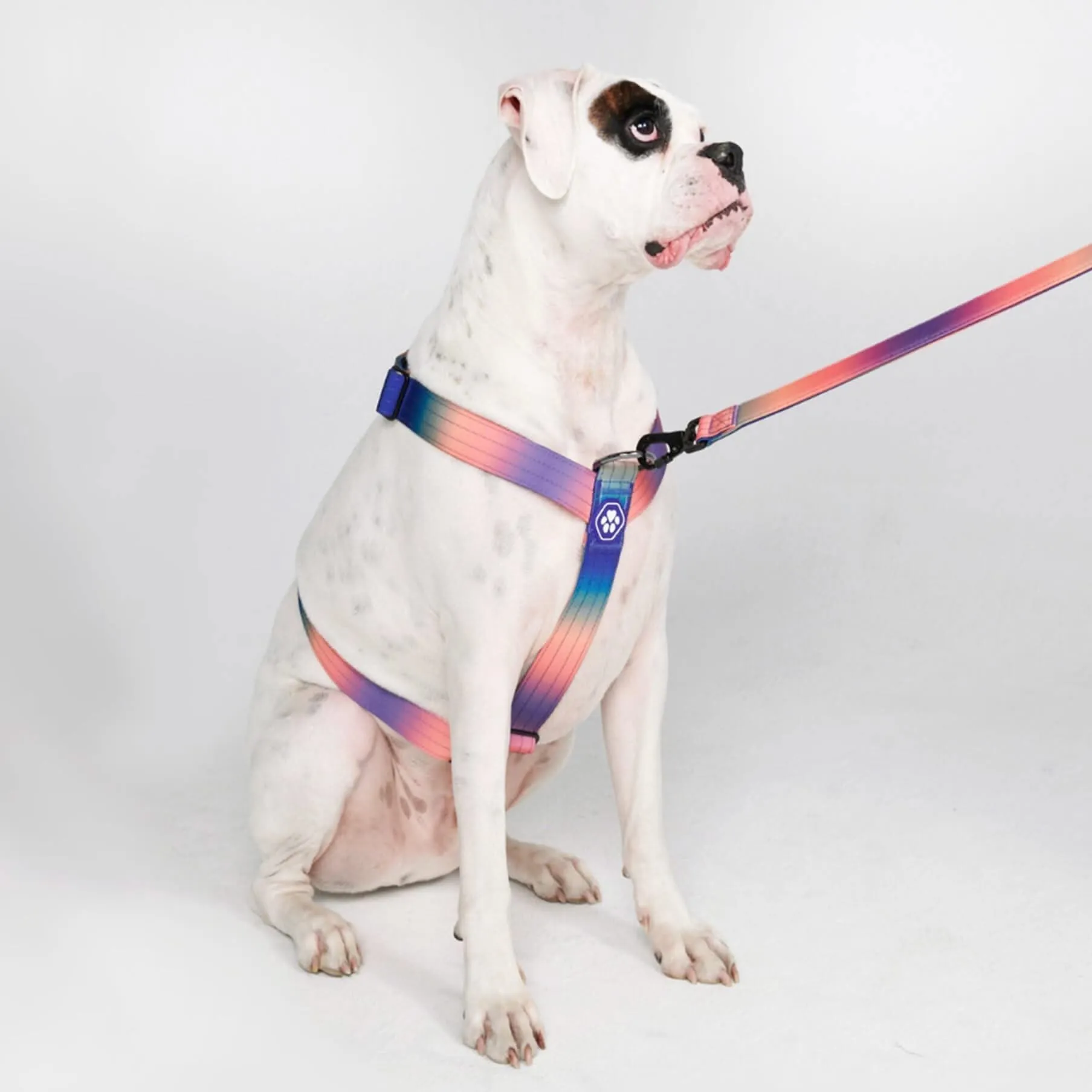 Comfort Control No-Pull Dog Harnesses