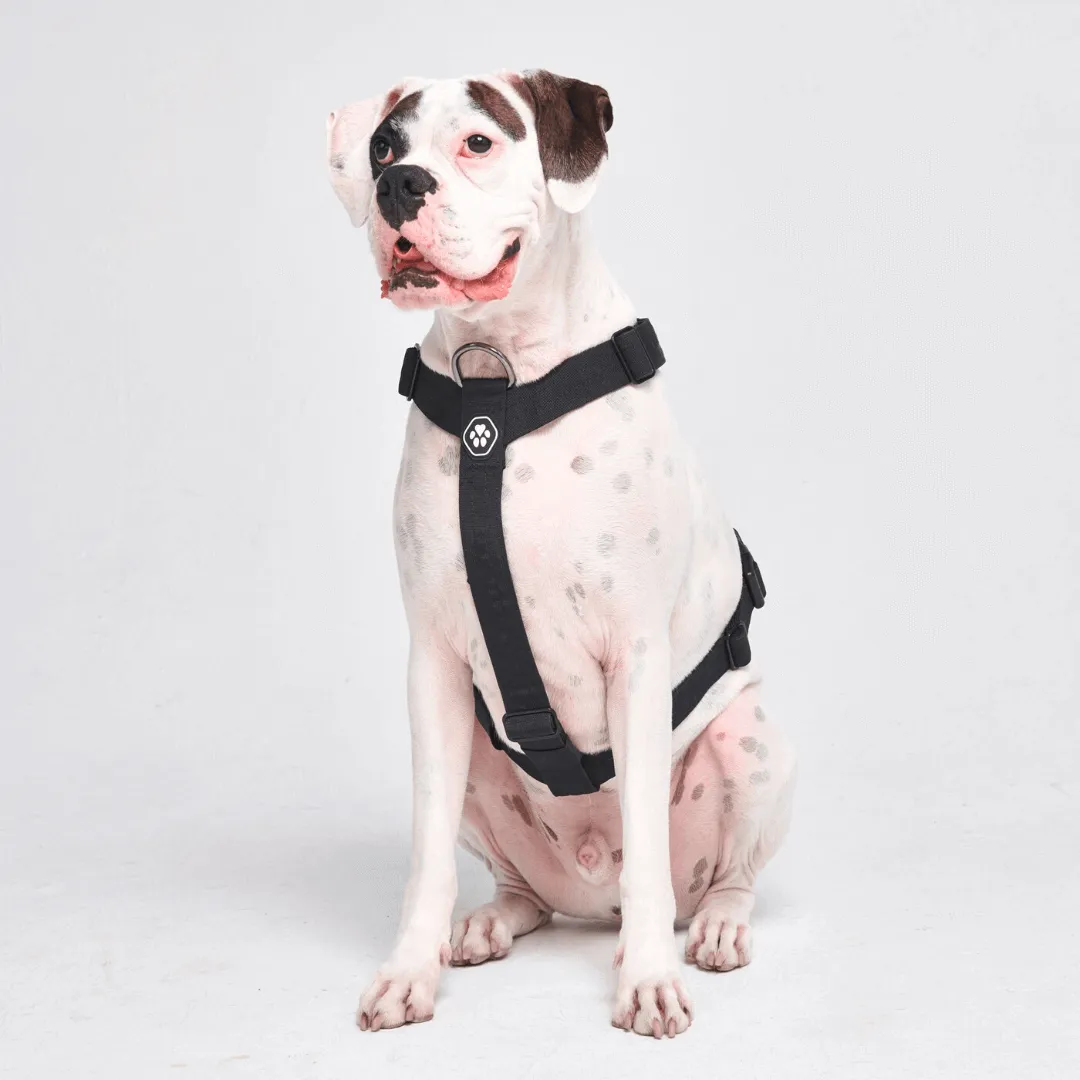 Comfort Control No-Pull Dog Harnesses