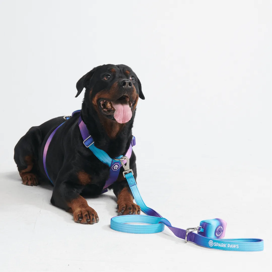 Comfort Control No-Pull Dog Harnesses