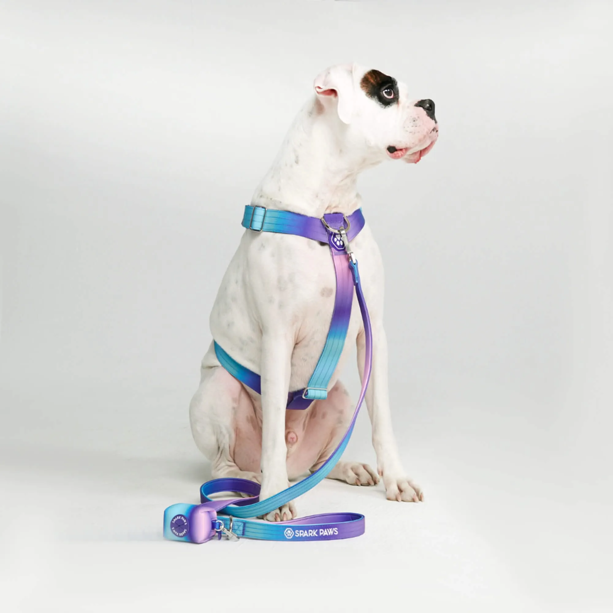 Comfort Control No-Pull Dog Harnesses