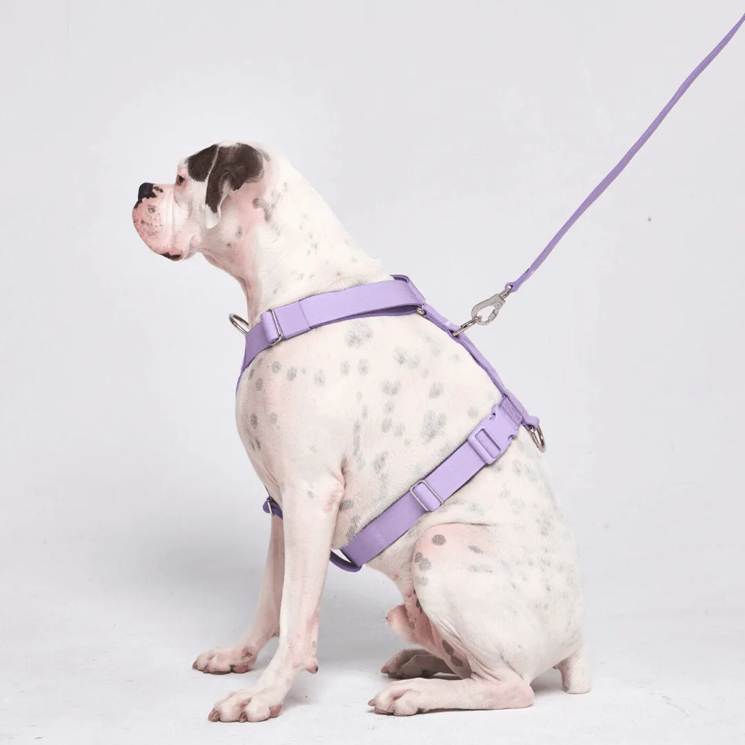 Comfort Control No-Pull Dog Harnesses