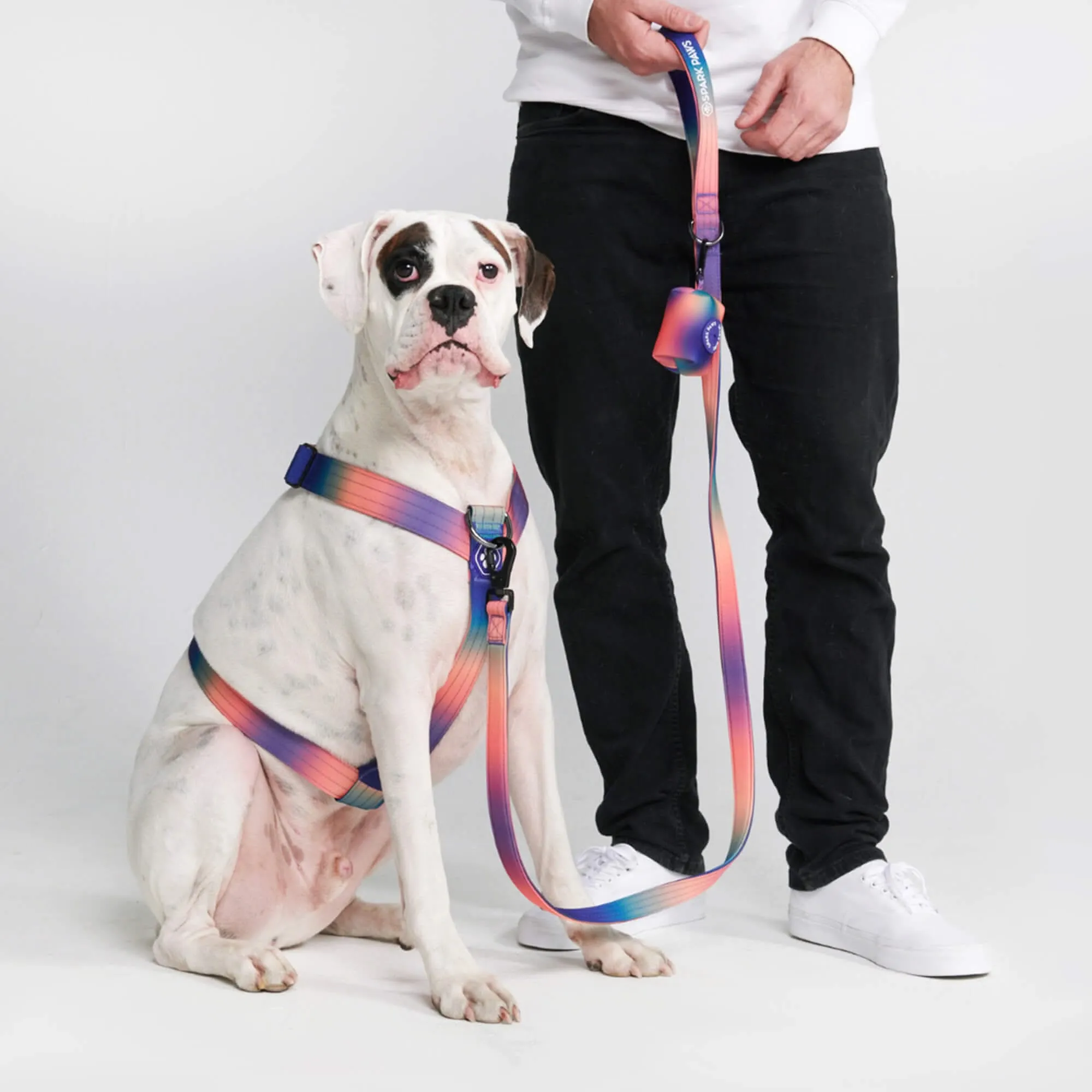 Comfort Control No-Pull Dog Harnesses