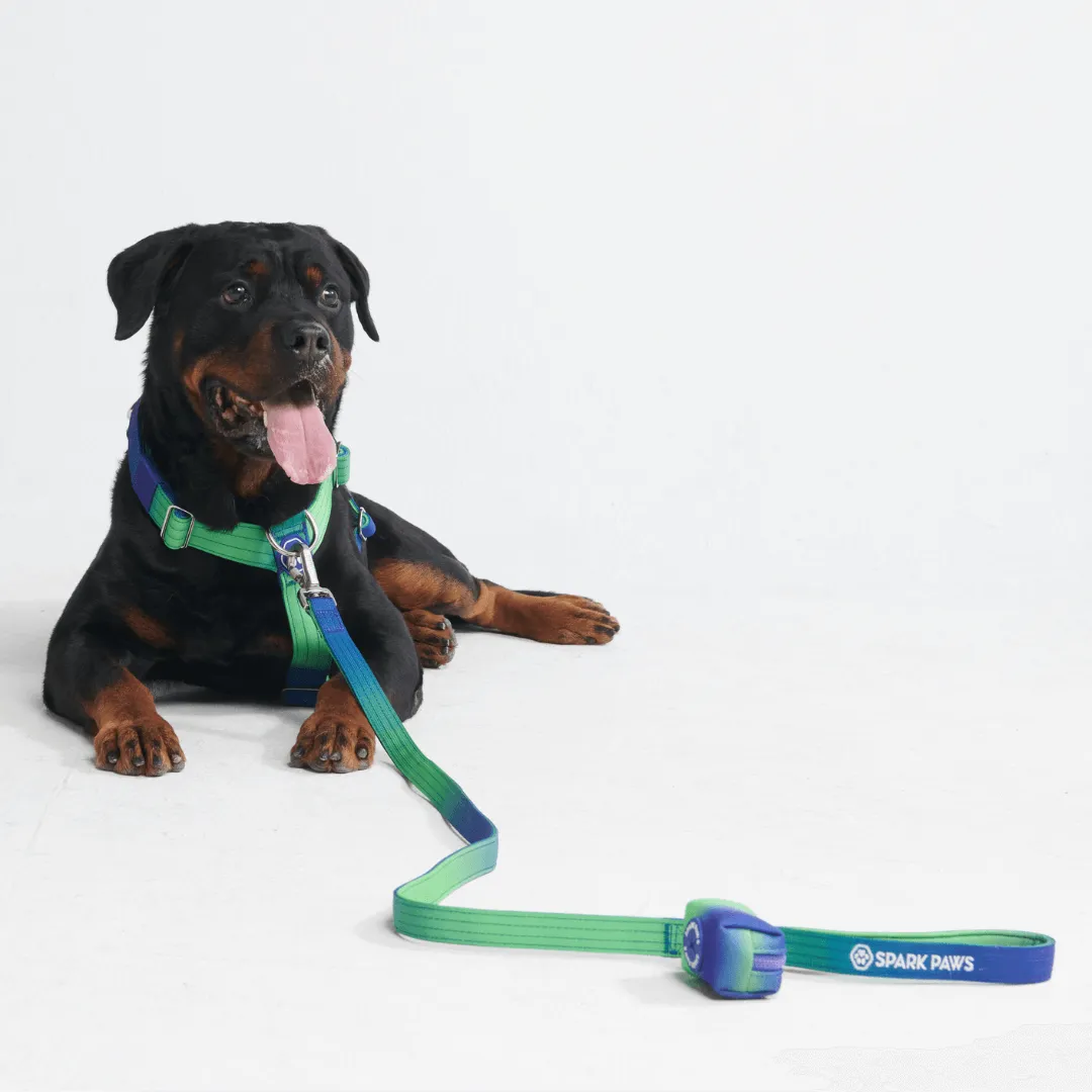 Comfort Control No-Pull Dog Harnesses