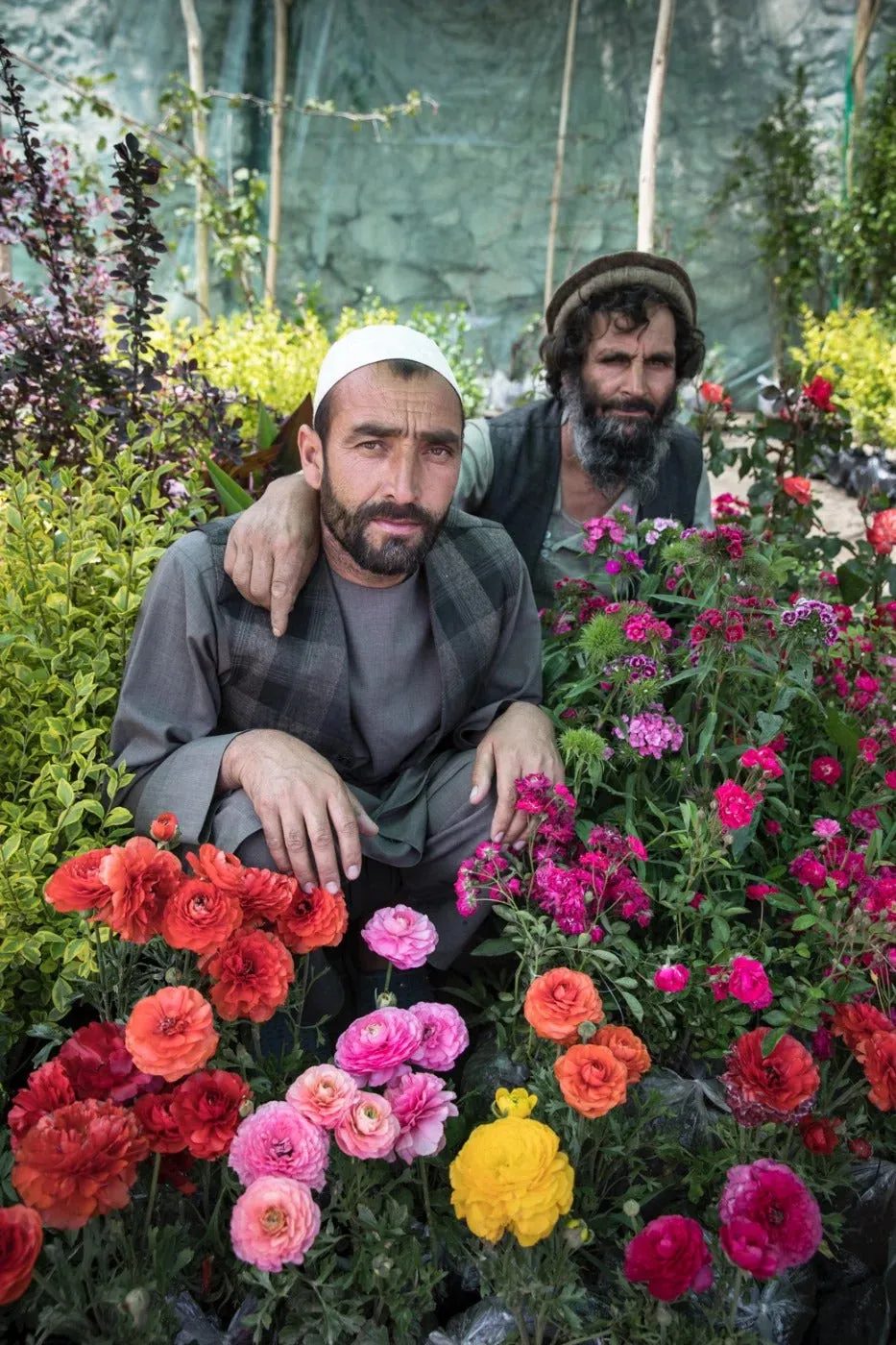 Des Roses Sous les Épines