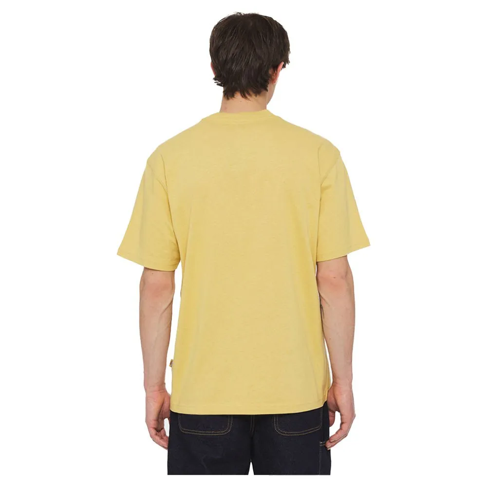 DICKIES CAMISETA LURAY POCKET FALL LEAF