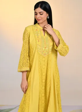 Fariha Carnation Yellow Embroidered Raschel
Net Dress for Women