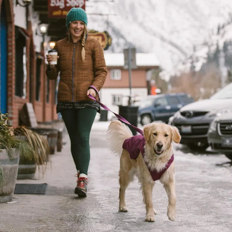 Stumptown Jacket for Dogs from Ruffwear