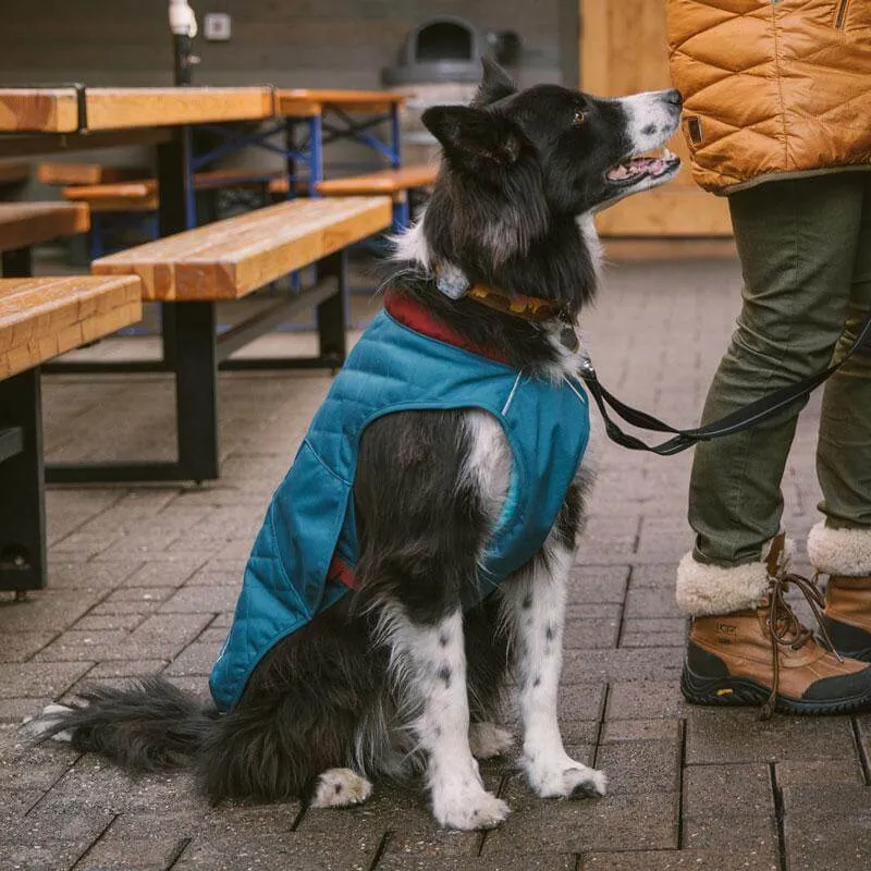 Stumptown Jacket for Dogs from Ruffwear